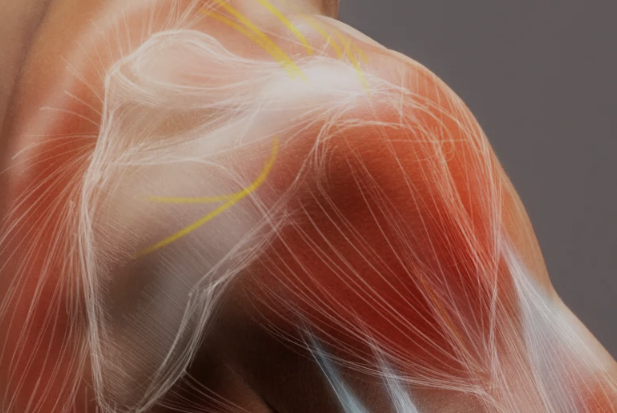 aerial photography of flowers at daytime