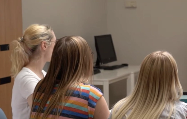aerial photography of flowers at daytime