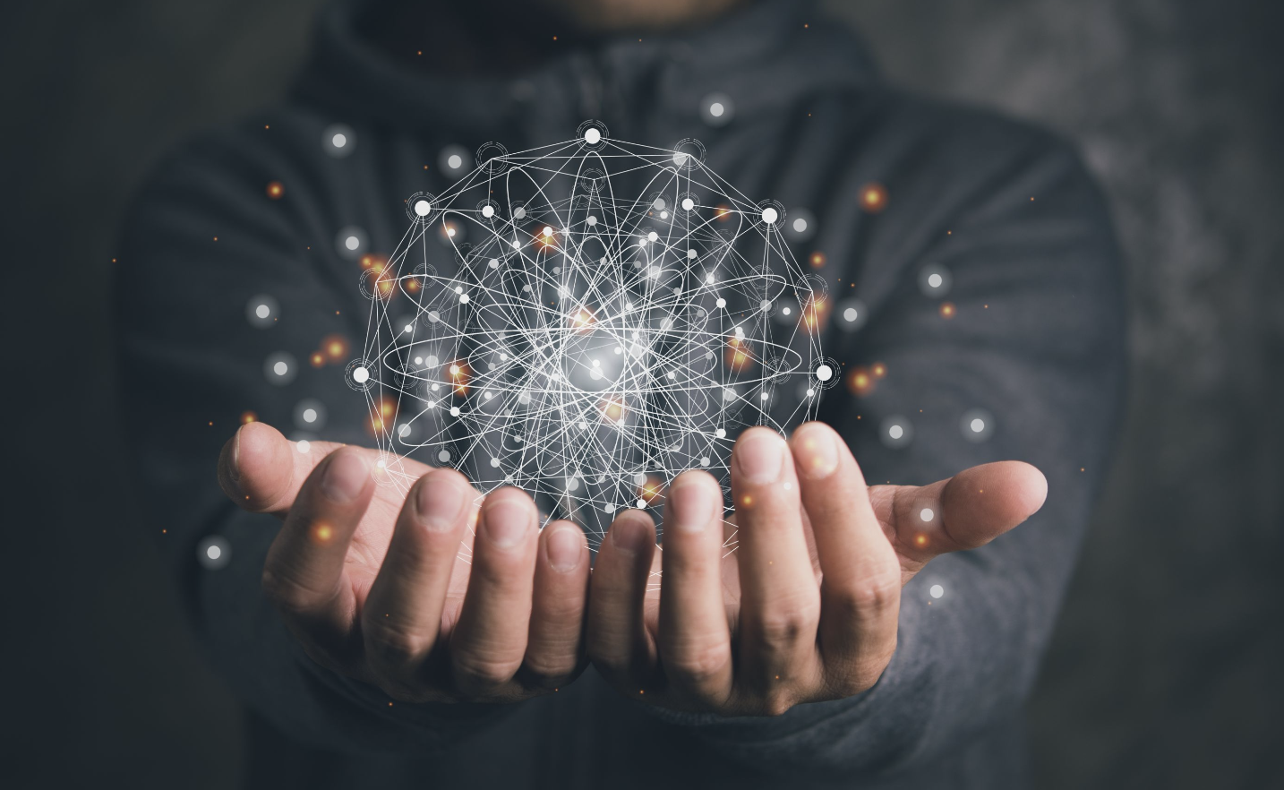 blue and green peacock feather
