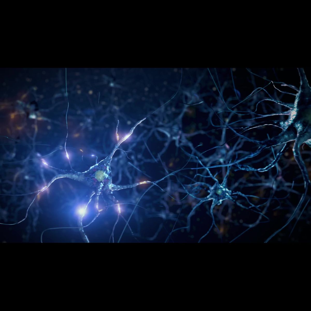 New frontiers in stroke rehab